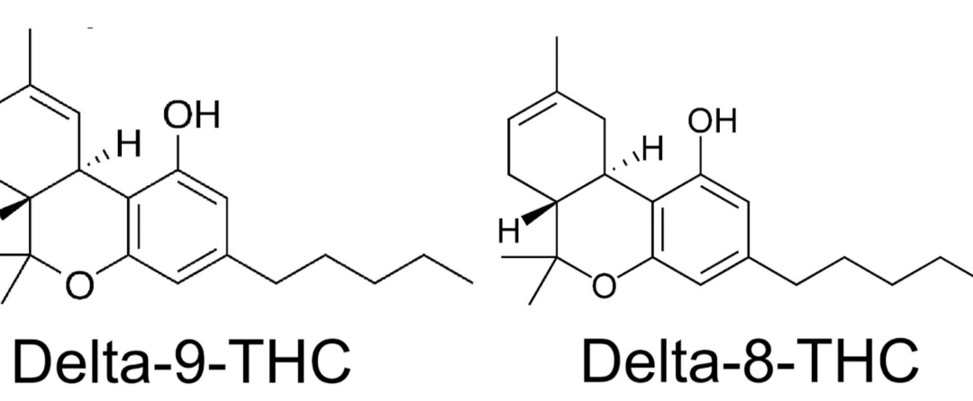 Cannabeginners: Delta-8, Delta-9, Is All THC Created Equal?