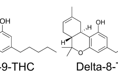 Cannabeginners: Delta-8, Delta-9, Is All THC Created Equal?