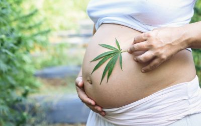 Study: Cannabis Use During Pregnancy May Lead to Low Birth Weight, Preterm Birth