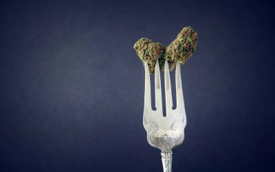 New Research Explores Cannabis Use, Binge Eating