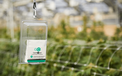 The Ultimate Tool for Cleaning the Atmosphere, Controlling Odor and Improving Air Quality