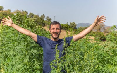 Moroccan Farmers Urging Government To Legalize Cannabis