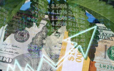 MSO Stocks Soar After Biden Video Confirms Cannabis Is Moving to Schedule III