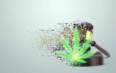Minnesota Expunges Nearly 58K Records Just Nine Months After Rec Weed Legalization