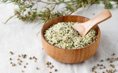 Hemp-Based Food Market to Soar to Over $8B by 2029, Report Forecasts