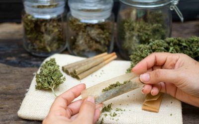 Ohio Committee Approved Adult-Use Sales Plan