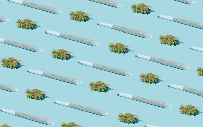New Hampshire Senate Passes Cannabis Legalization Bill