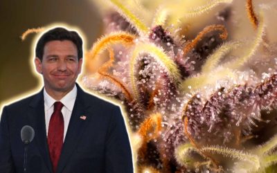 Florida Governor Launches PAC To Fund Campaign Against Legalizing Weed
