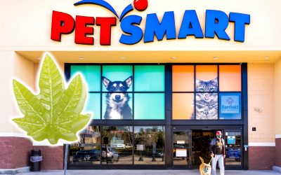 Woman Claims Dog Came Back From PetSmart High, Investigation Finds No Evidence