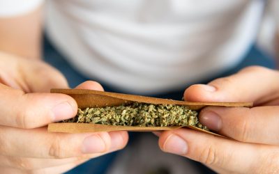 Poll Results Show New Hampshire Support for Adult-Use Legalization