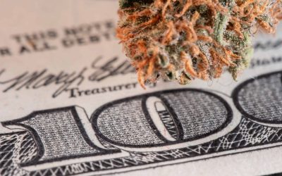 Annual California Cannabis Tax Revenue Fund Grantees Awarded $46M