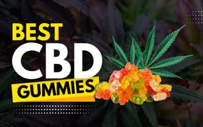 Best CBD Gummies in 2024 for Stress Relief, Pain Relief & Boosted Energy