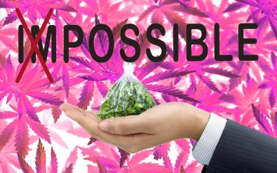 How Likely is Cannabis Rescheduling, Now? – These Legal Experts Weigh In..