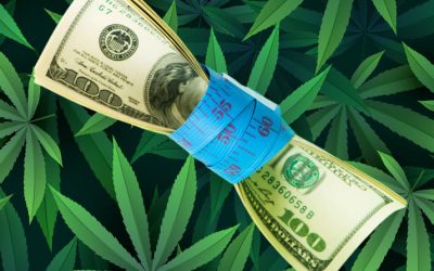 The #1 Reason Marijuana Companies Fail Is… A. High Taxes B. 280E Rules C. Nonpayment D. No Banking