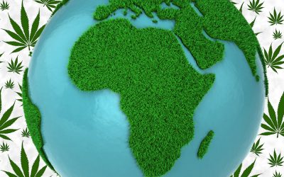 A Threat to the Legal European Cannabis Market? – Morocco and Zimbabwe Accelerate Marijuana Export Plans