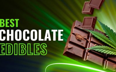 Best Chocolate Edibles of 2024: Tasty Cannabis Chocolates Ranked & Reviewed
