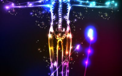 The Medical Benefits on the Human Body When You are High on Cannabis