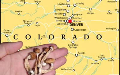 Legal Psychedelic Dispensaries for Psilocybin and Shrooms Launch in Colorado –  What You Need to Know!