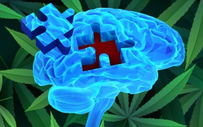 Cannabis and Dementia – What We Now Know and Don’t Know