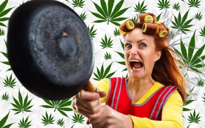 The Weed Made Me Do It – The Rise of the Cannabis Insanity Defense