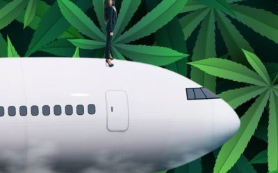 An Edible for Flying, Sure, Just Don’t Freak Out and Try to Open the Plane Door Mid-Flight!
