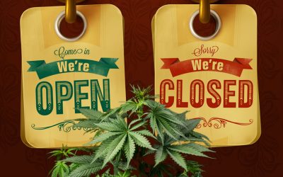 Does Legalizing Recreational Cannabis Kill the Medical Marijuana Program in That State?