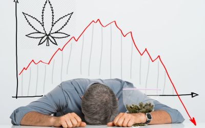 Your Million-Dollar Cannabis Business May Soon Be Worthless, And That Is Just the Beginning of the Bad News