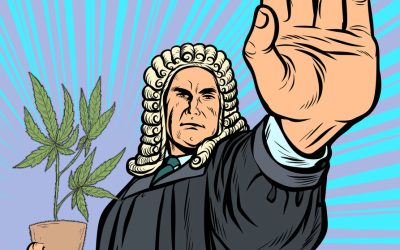 US Supreme Court Rules Delta-8 THC Derived from Hemp is 100% Legal, Slamming the DEA in Embarrassing Court Case