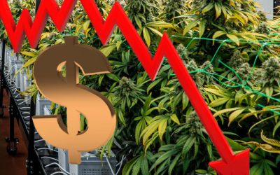 What State Just Dropped Below $80 an Ounce for Legal Cannabis? A. Florida B. Michigan C. California D. New York