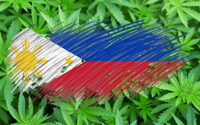 A Medical Cannabis Bill Just Passed in the Philippines, But Will the Senate Finally Legalize MMJ?