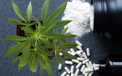 Creatine for Muscle Growth, But What About Creatine for Your Cannabis Plants and Soil?