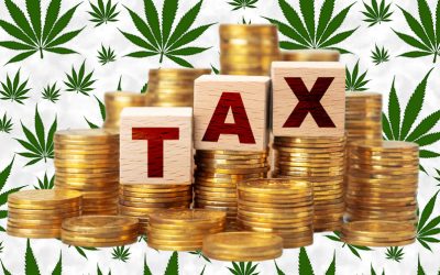 Marijuana Taxes in One City Created over $20 Million for Homeless Services, Affordable Housing, Education, and Police Funding