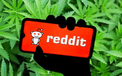 What the New Reddit-Based Cannabis Study Teaches Us about Cannabis and Getting High