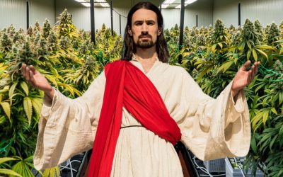 Did Jesus Heal People with Cannabis Oil? – Kaneh-Bosem in the Hebrew Bible May Shed Some New Light on His Miracles