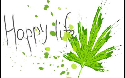 Are You a Cannabis Lifer? (Not the Same as a Stoner)