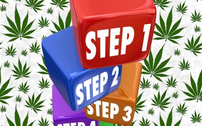 HHS’ New 2-Step Test to See if Marijuana Has Medicinal Benefits Crushes the DEA’s Rational for Weed Being a Schedule 1 Drug