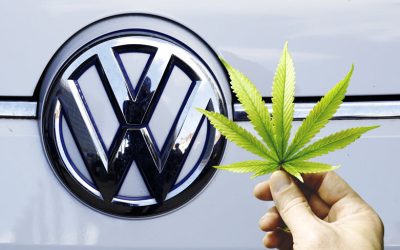 Why is Volkswagen Interested in Hemp? Auto Manufacturers Turn Their Attention to Industrial Hemp