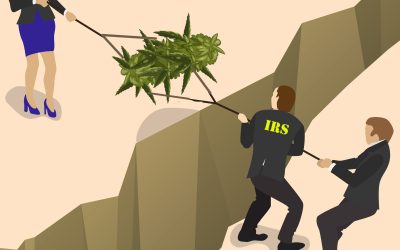 The Dangerous 280E Tax Battle of Cannabis Companies vs. the IRS – Penalties and Interest Could Be Deadly If You Are Wrong!