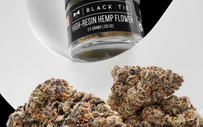 Jealousy Strain by Black Tie CBD: A Perfect Anytime Hybrid with a Complex Bouquet