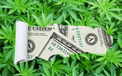 The IRS is NOT Going to Play Ball with Cannabis Companies on 280E Tax Refund Checks – Get Ready for Penalties and Interest!