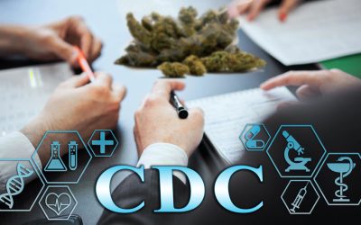 Legalize Weed for the Kids! Wait, What? – CDC Bombshell Report Shows Teen Cannabis Use Plummets with State Legalization