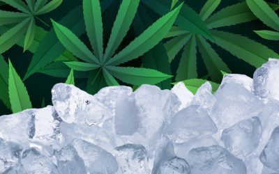 Should You Freeze Your Weed Down to -320°F to Kill Mold and Save a Ton of Money?