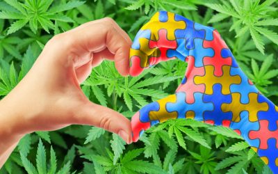 CBD-Rich Extracts Help Mitigate Autism Symptoms in Kids and Teens Says Medical Study