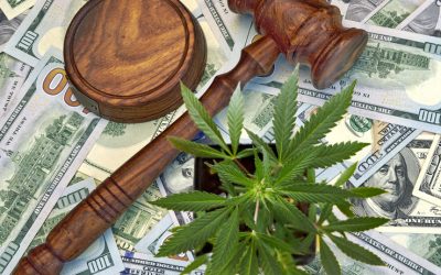 $9,500,000 Fine for Illegal NY Dispensary That Didn’t Listen to State’s Warnings to Shut Down Operations