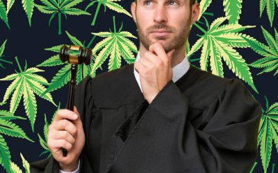 The Court Case That Could Legalize Marijuana in America – Appeal Filed in Canna Provisions vs. US Government Case