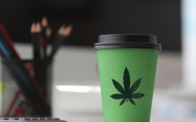 Fired for a Positive THC Drug Test after Taking CBD – Supreme Court to Hear Truck Driver Case on CBD, THC, and Drug Testing