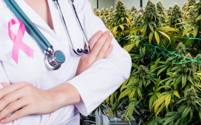 40% of Cancer Patients are Now Using Cannabis to Manage Symptoms? – The Growing Case for Cannabis for Cancer