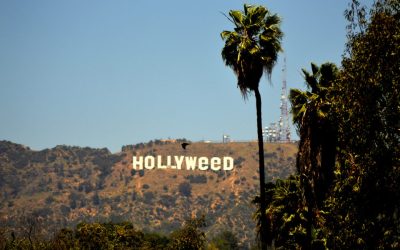 Hollyweed: What Strains Do Celebrities Smoke?