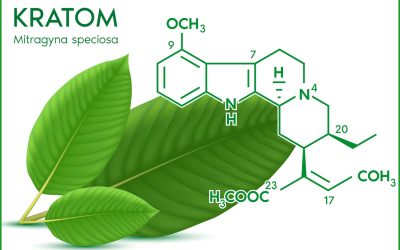 Is Kratom Addictive? Understanding Dependence, Risks, and Safe Usage