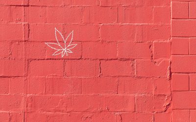 The Red Wall Blocking Marijuana Legalization in America, Real or Imagined?